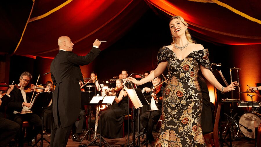 Vienna: Johann Strauss Dinner Show at the Prater - Three acts of Johann Strauss: orchestra, soprano, ballet, and audience interaction