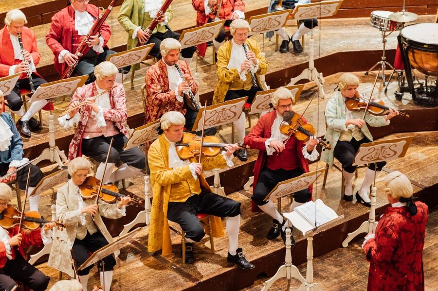 Vienna: Mozart Concert and Austrian Delights Dinner - Should you book this Vienna Mozart Concert and Dinner?