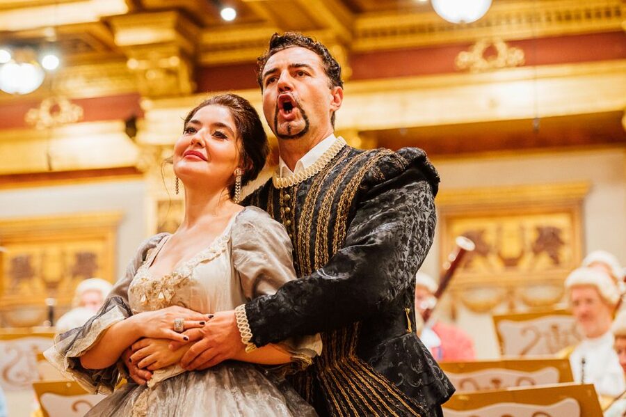 Vienna: Mozart Concert and Austrian Delights Dinner - Seat-photo trap at Musikverein: how to protect your view