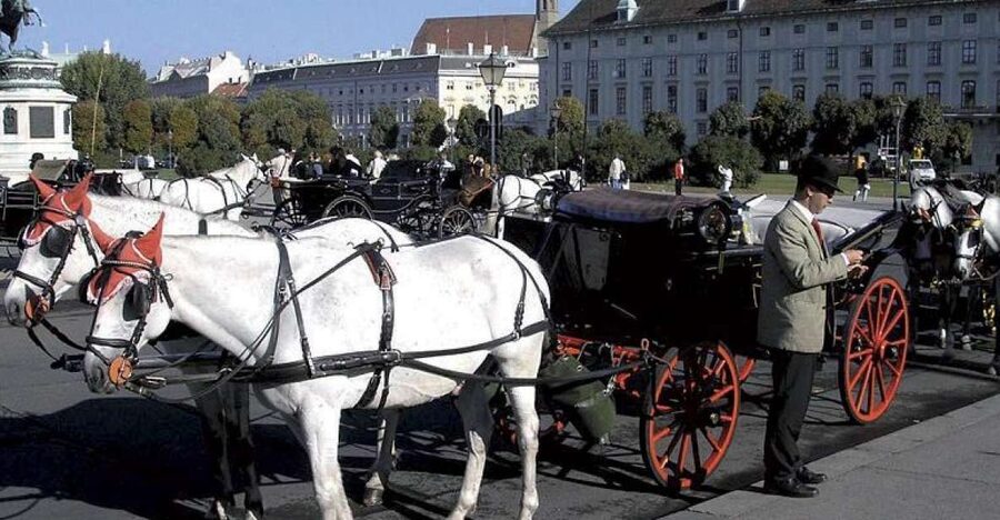 Vienna: Mozart Concert with Dinner and Carriage Ride - The Mozart-costumed guide and a 20-minute carriage ride