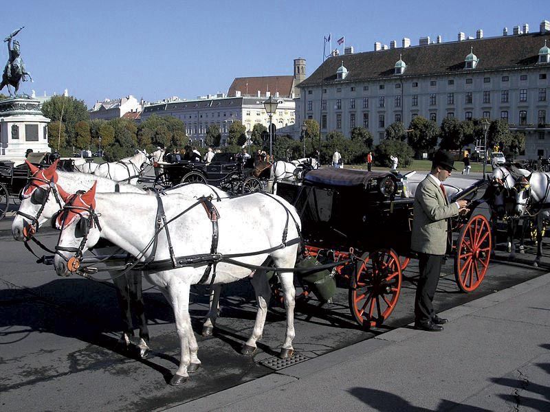 Vienna: Mozart Concert with Dinner and Carriage Ride - Who this suits best, and who should rethink it