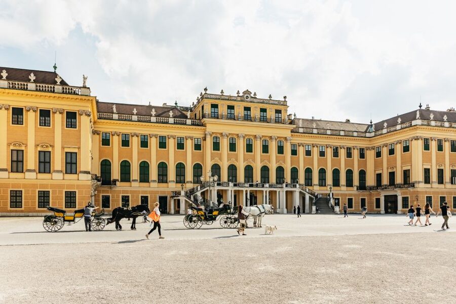 Vienna: Panorama Train Tickets to explore Schönbrunn Palace - Accessibility and Comfort: A Good Choice for Mixed Mobility