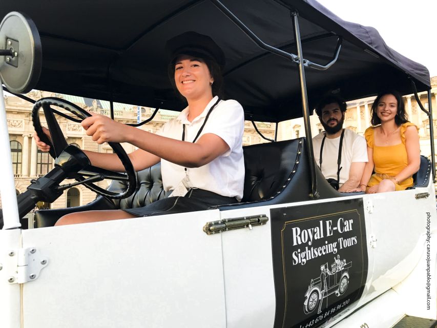 Vienna: Private Electric Car Sightseeing Tour - The stops that shape the experience, without the walking marathon