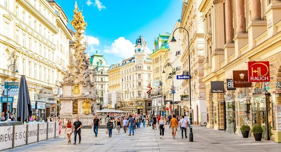 Vienna Private Full Day Tour – Tickets to Schönbrunn & Lunch - St. Stephen’s Cathedral and Vienna Plague Column moments: stop, look, and let the guide point