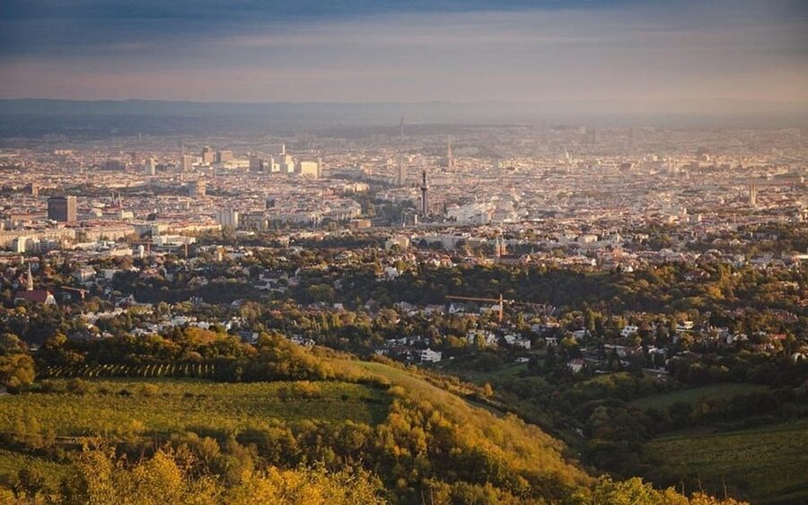 Vienna: Private Half-Day Sightseeing Tour - St. Stephen’s Cathedral: free main entry, paid tower and catacombs
