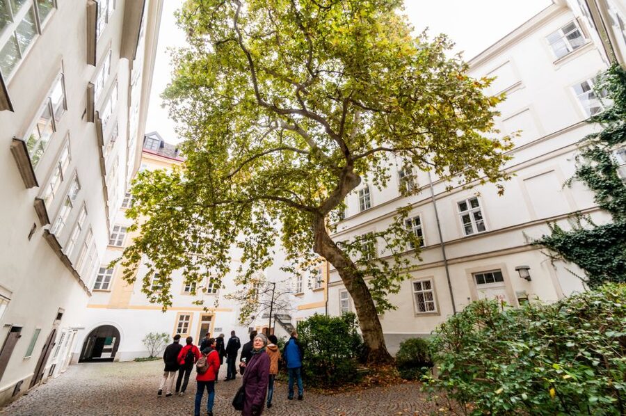Vienna: Romantic Old Town 2-Hour Discovery Tour - Guides, languages, and the private-group feel up close