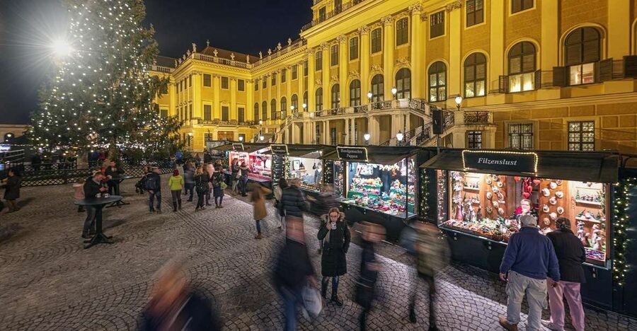 Vienna: Schönbrunn Palace & Christmas Market Walking Tour - Quick Takeaways