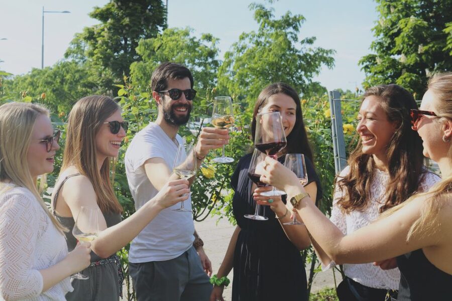 Vienna: Schönbrunn Palace Entry Ticket and Wine Tasting - Key points before you go