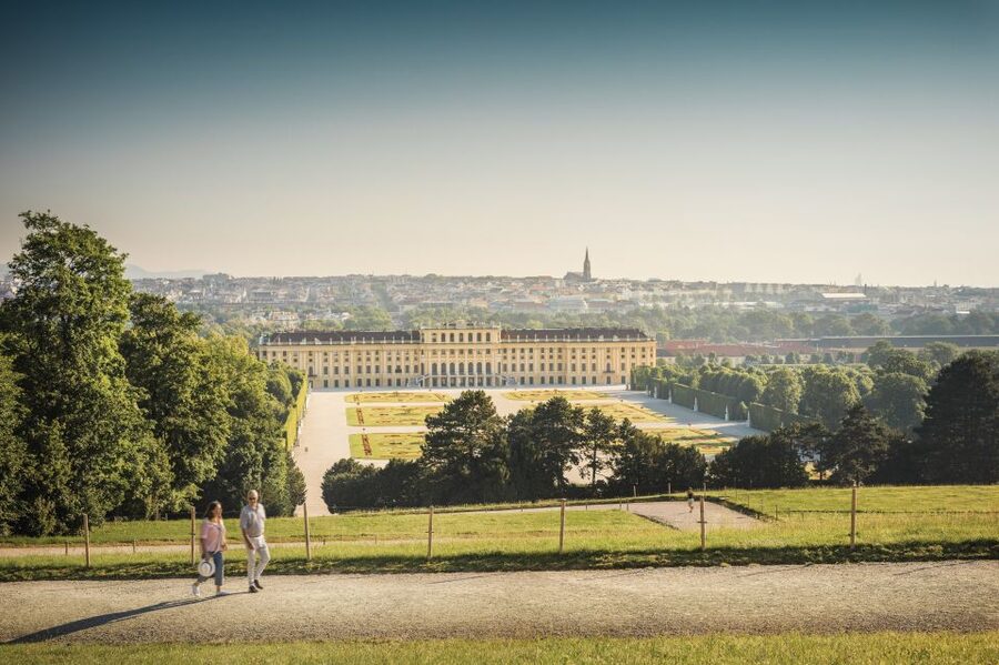 Vienna: Schönbrunn Palace Entry Ticket and Wine Tasting - Who should book this, and who might want a different option