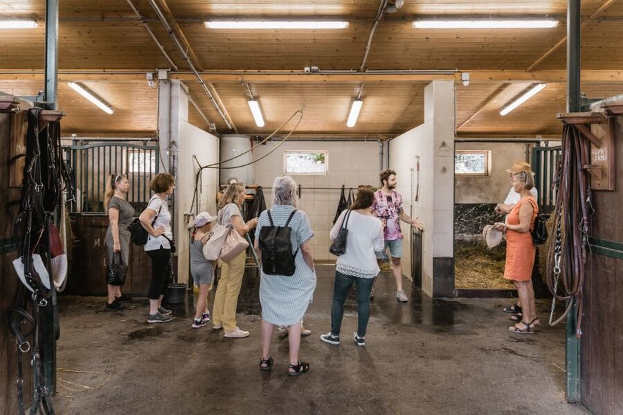 Vienna: Secrets of the Fiaker & Horse-Drawn Carriage Ride - The original Fiaker horse center in Simmering: what you learn in the yard