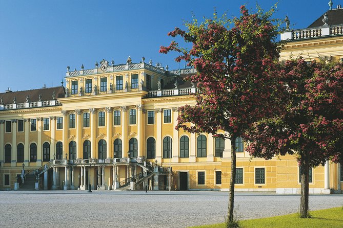 Vienna: Skip the Line Schönbrunn Palace and Gardens Guided Tour - The meeting point and how to find your group