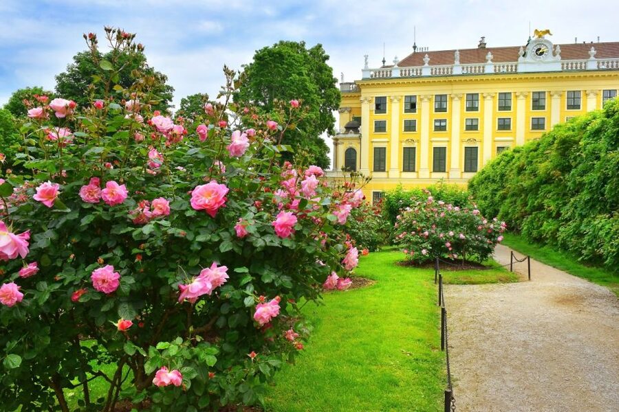 Vienna: Skip-the-Line Schonbrunn Palace Private Tour - How the guide turns rooms into meaning, not just scenery