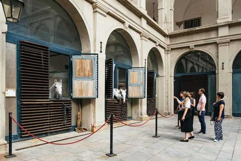 Vienna: Spanish Riding School Guided Architectural Tour - Where the Tour Starts at Michaelerplatz 1