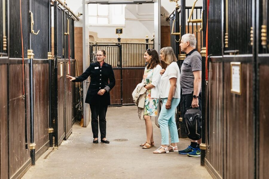 Vienna Spanish Riding School Guided Tour - Key Tour Highlights Worth Booking