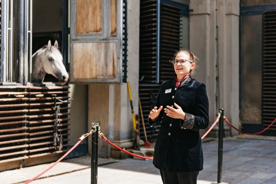 Vienna Spanish Riding School Guided Tour - Entering the Winter Riding School, Baroque Beauty With a Purpose