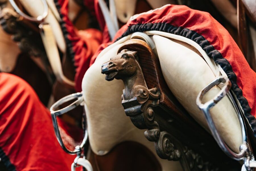 Vienna Spanish Riding School Guided Tour - Arena Stops, Tack Room Highlights, and the Small Details