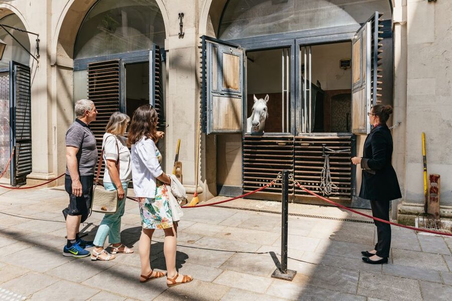 Vienna Spanish Riding School Guided Tour - Horses, Seasons, and Why You Might Not See a Performance