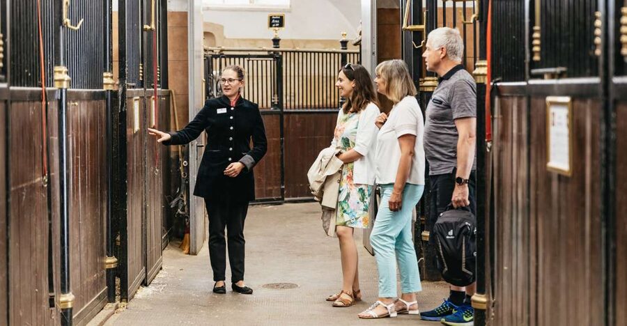 Vienna Spanish Riding School Guided Tour - Price and What You Actually Get for $28
