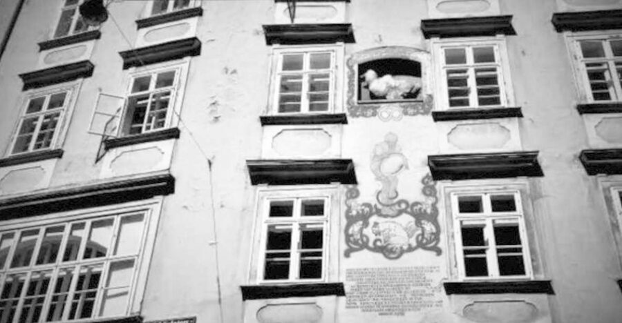 Vienna: Spooky Ghost Tour in English - Vienna Ghost Tour, the fun kind of fear on real streets