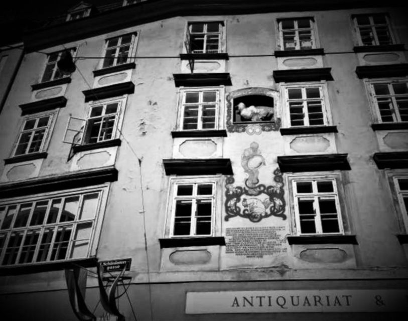 Vienna: Spooky Ghost Tour in English - Historic Center stories that turn Vienna’s sights into plot points