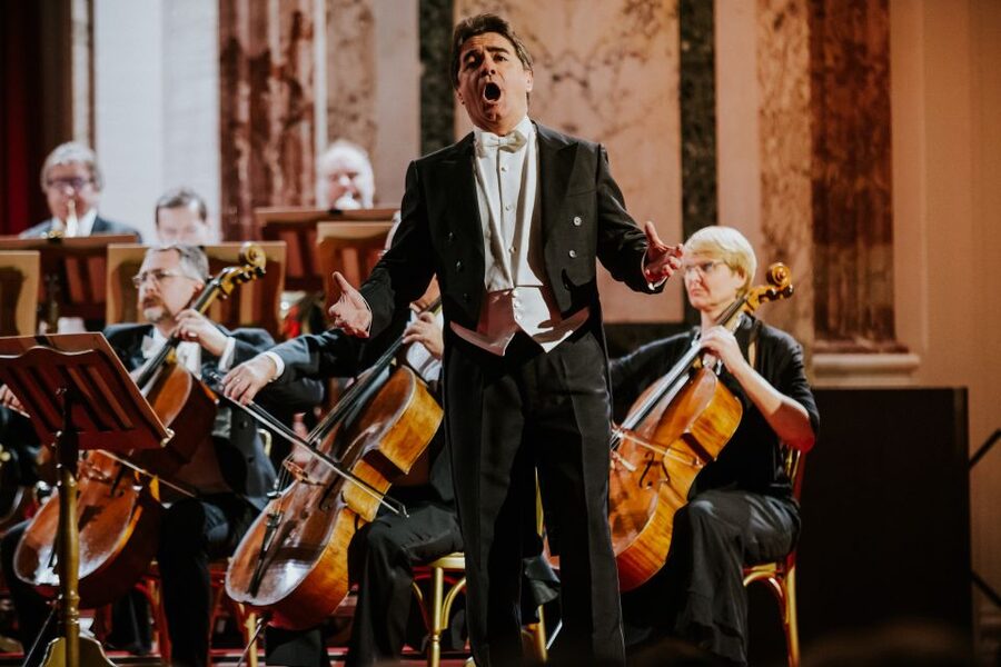Vienna: Strauss and Mozart Concert at Hofburg Palace - Who should book this Hofburg Strauss and Mozart concert?