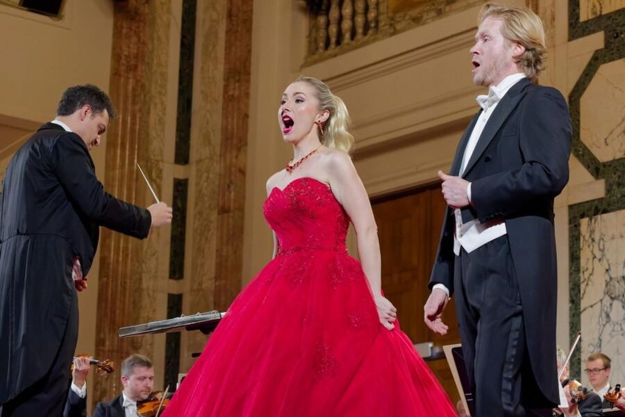 Vienna: Strauss and Mozart Concert at Hofburg Palace - Up to 40 musicians plus singers and ballet dancers