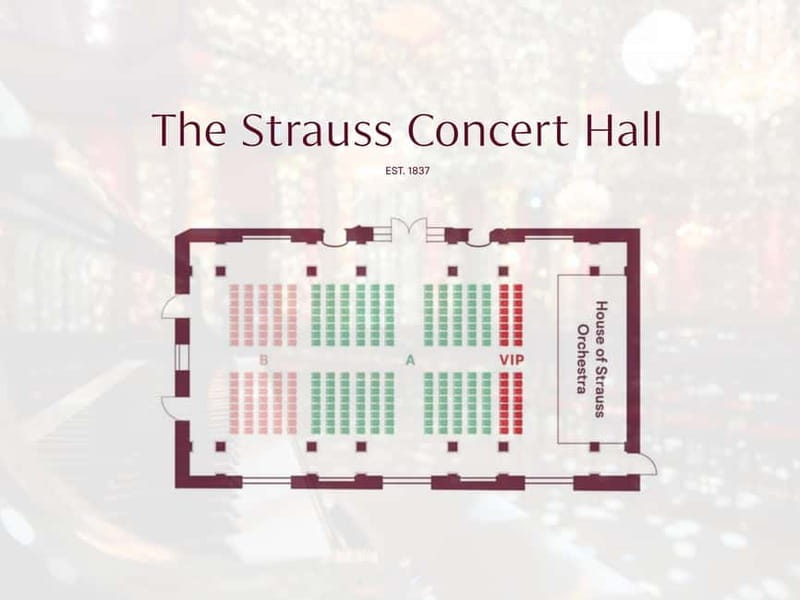 Vienna: Strauss Classical Concert with Soprano & Light Show - Who should book this Strauss and Mozart night