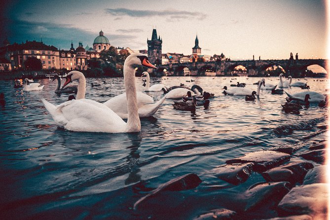 Vienna to Prague - Private Transfer with 2 hours of Sightseeing - Your driver in plain terms: local insight, not a licensed guide