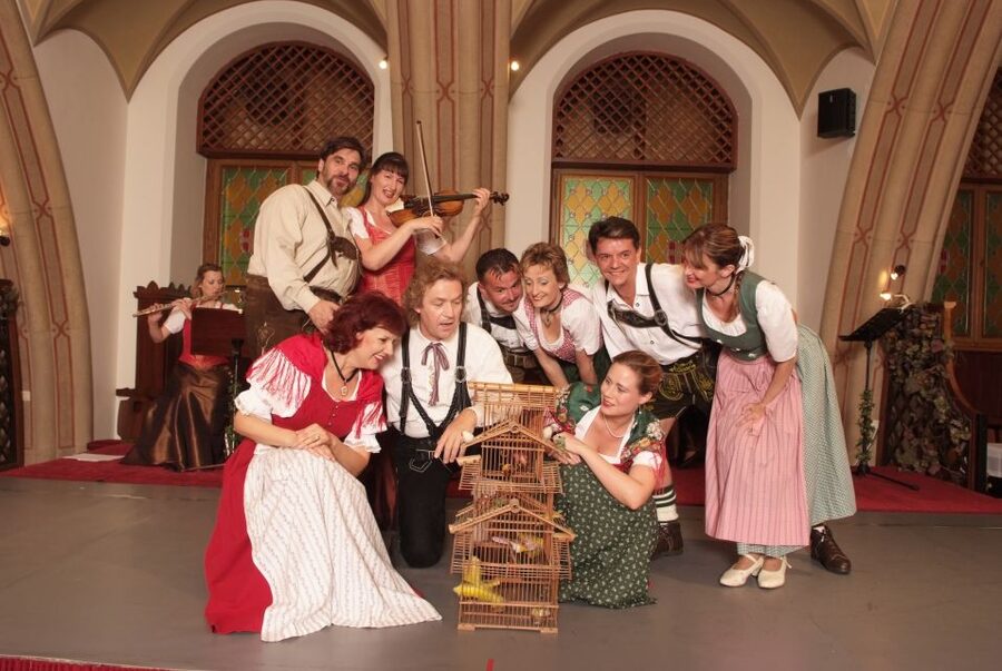 Vienna: Traditional Dinner Show at the Wiener Rathauskeller - Who this Vienna dinner show is best for