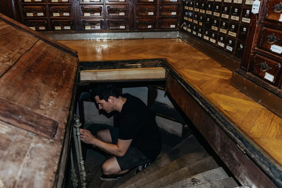 Vienna: Viennese Underworld Guided Walking Tour - Vienna Underworld tour: what you’re actually buying