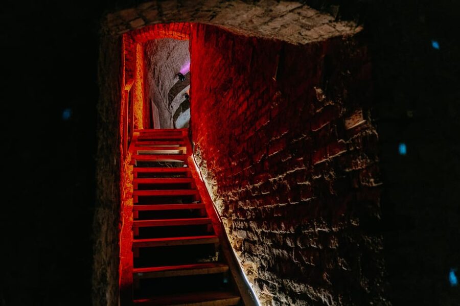 Vienna: Viennese Underworld Guided Walking Tour - Inside the basements: WWII, pharmacy cells, and shelter rooms