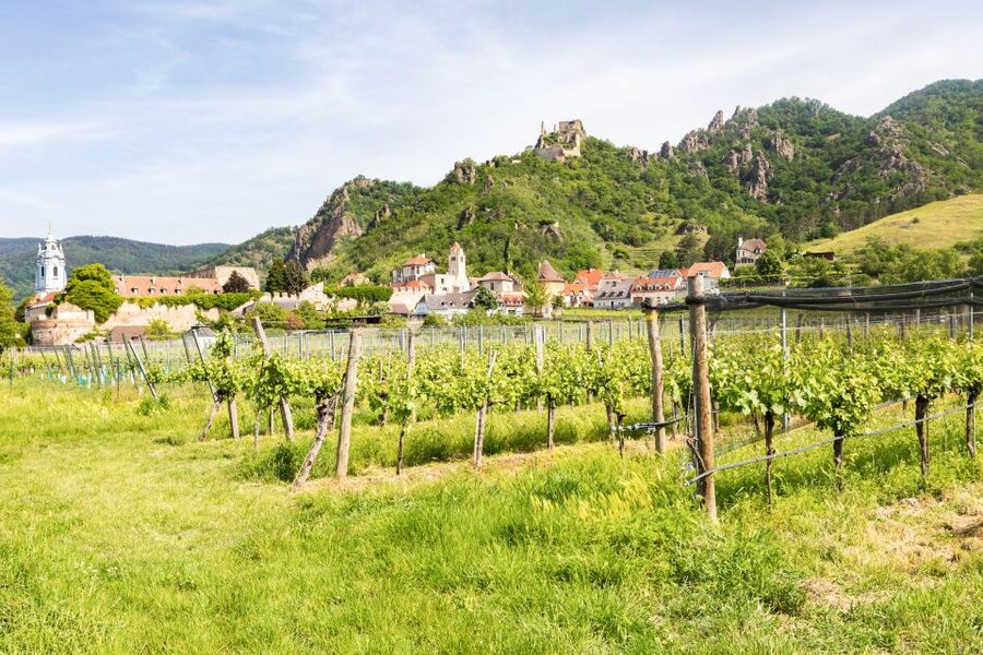 Vienna: Wachau Valley, Melk Abbey Tour with Danube Boat Trip - Price and Value: Does $151 Add Up for This Vienna Day Trip?