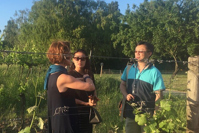Vienna Wine Experience - Buschenschank tastings: where the wine feels local
