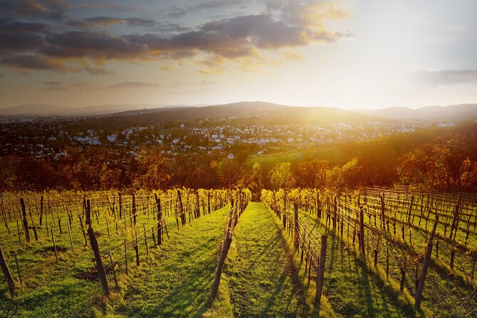 Vienna Wine Experience - Native grapes and Gemischter Satz, explained the way you’ll remember