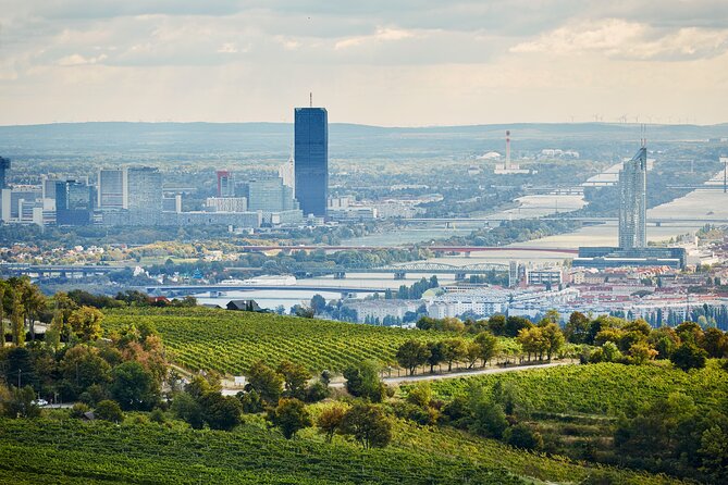 Vienna Wine Experience - The guide factor: why WSET III is more than a badge