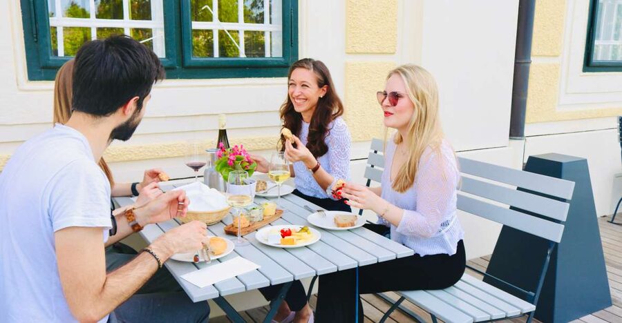 Vienna: Wine Tasting at Schönbrunn Palace - The tasting itself: 5 pours, 1-hour pacing, and fair-sounding expectations