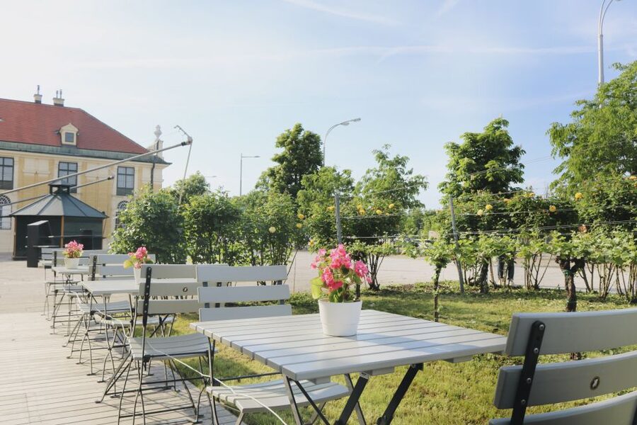 Vienna: Wine Tasting at Schönbrunn Palace - Should you book this Schönbrunn Palace wine tasting?