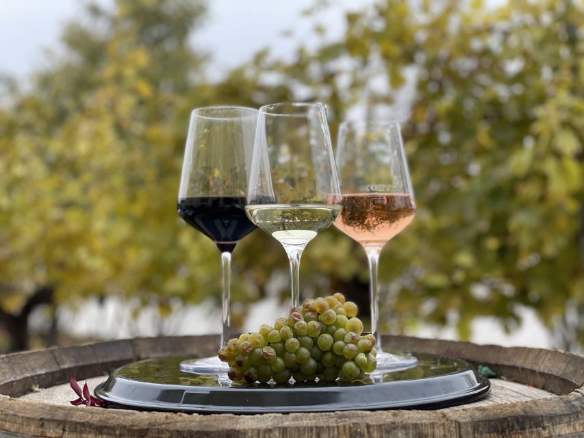 Vienna: Wine Tasting at Schönbrunn Palace - Meeting at Restaurant Joseph II: What the first 10 minutes feel like