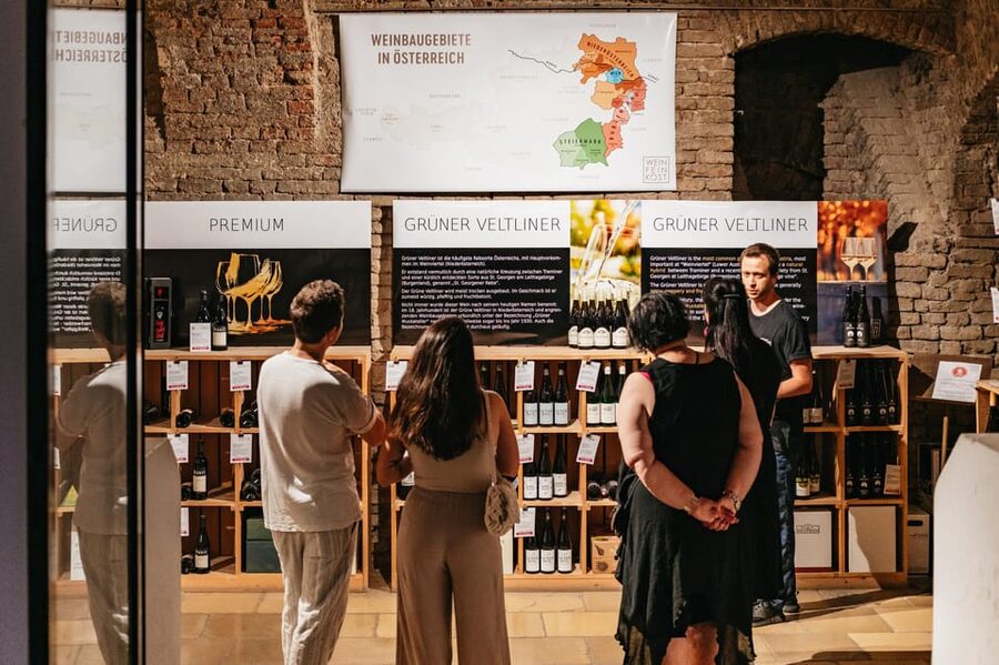 Vienna: Wine Tasting Experience in a Private Wine Cellar - Is It Worth $22 in Vienna? My Value Check