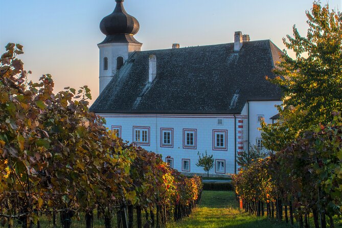 Vienna Woods Wine Tour - Wines, Vines & Good Times! - Pacing and Walk Level: What 9 km Really Means