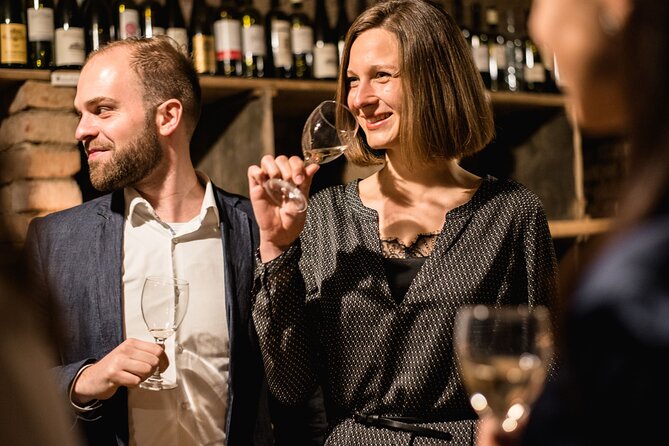 Viennese Wine Tasting in a Private Hidden Wine Cellar - Vienna’s Wine Roots, Taken Underground: What This Tasting Really Is