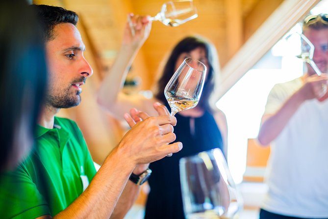 Wachau Valley Private Tour With Melk Abbey Visit and Wine Tastings from Vienna - Dürnstein: medieval streets, King Richard stories, and snackable tastings