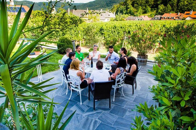 Wachau Valley Small-Group Tour and Wine Tasting from Vienna - Wachau Valley by coach: what this day actually feels like