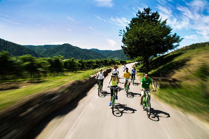 Wachau Valley Wine Tasting Bike Tour from Vienna - Dürnstein Fortress Ruins and Richard the Lionheart Connection