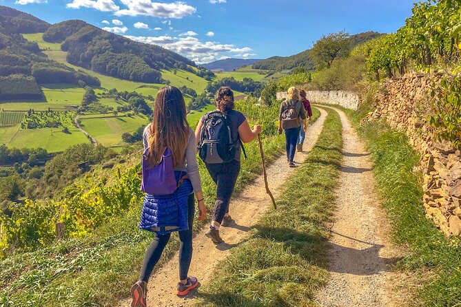 Wachau World Heritage Hike - Key points to know before you go