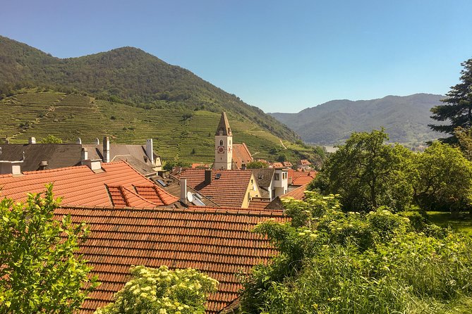 Wachau World Heritage Hike - The 3-hour hike: vineyards, stone oaks, pine trees, and Danube views