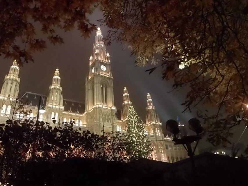Wien: Tour with locals on the trails of the Christmas Tree - Key things you’ll get from the Christmas tree trails tour