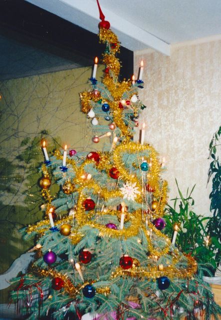 Wien: Tour with locals on the trails of the Christmas Tree - Advent markets, punch, and what to look for when you browse