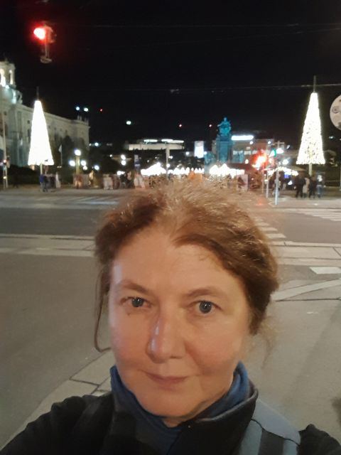 Wien: Tour with locals on the trails of the Christmas Tree - Should you book this Vienna Christmas tree tour?