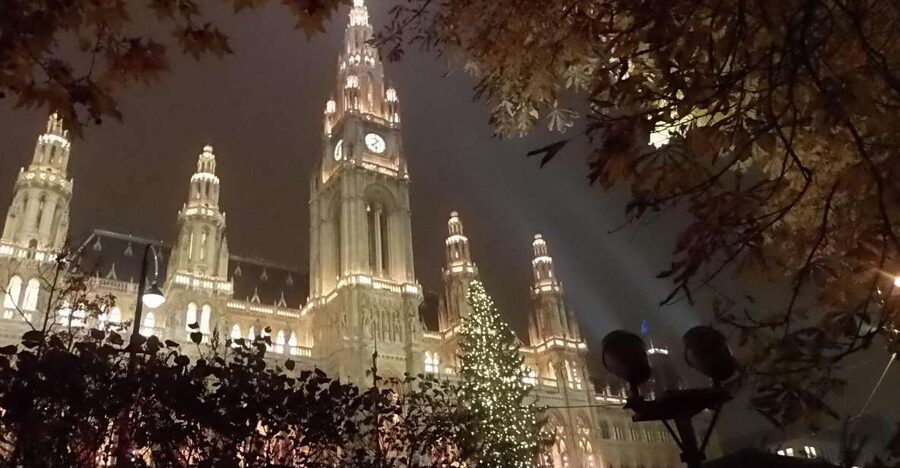 Wien: Tour with locals on the trails of the Christmas Tree - Meeting at the Anker Clock, then walking the illuminated center your way